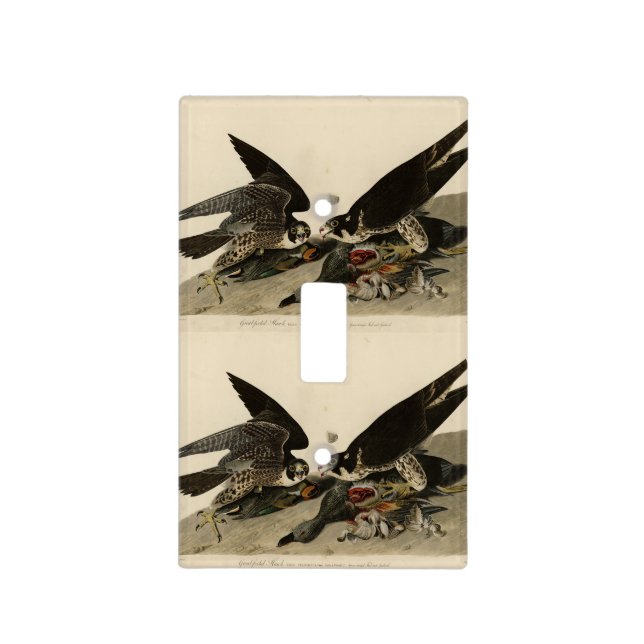 Great-footed Hawk from Audubon's Birds of America Light Switch Cover (Front)