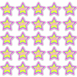 Great Fun Star Teacher Reward Comment Stickers