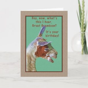 Great Grandson, Birthday, Laughing Llama Card