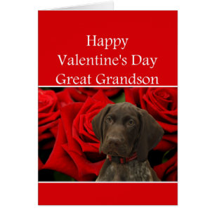 Great Grandson Glossy Grizzly Valentine Puppy Love Cards