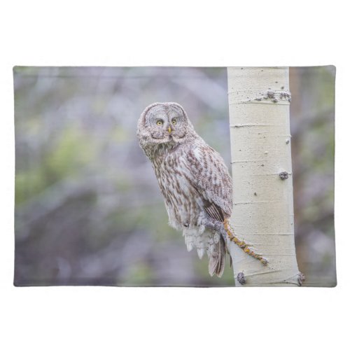 Great Gray Aspen Tree Branch Cloth Placemat