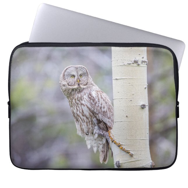 Great Gray Aspen Tree Branch Laptop Sleeve (Front)