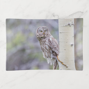 Great Gray Aspen Tree Branch Trinket Tray