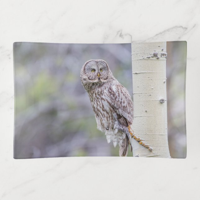 Great Gray Aspen Tree Branch Trinket Tray (Front)