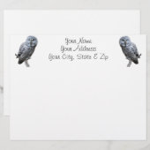 Great Gray Owl (Front/Back)