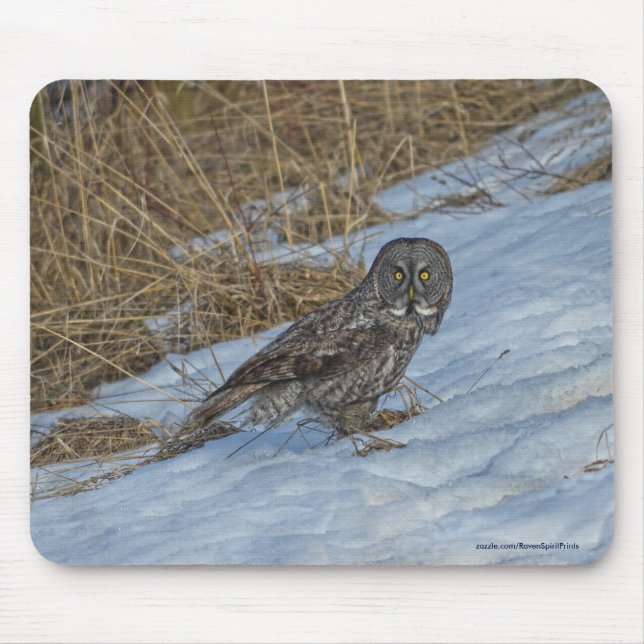 Great Gray Owl and Snow Wildlife Raptor Photo Mouse Pad (Front)