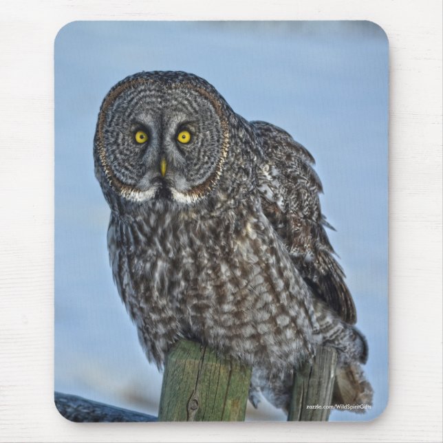 Great Gray Owl and Snow Wildlife Raptor Photo Mouse Pad (Front)