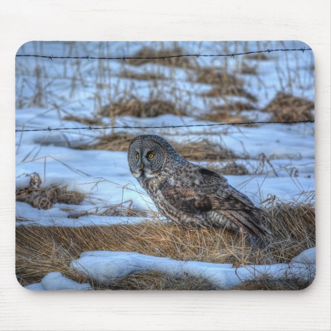 Great Gray Owl and Snow Wildlife Raptor Photo Mouse Pad (Front)