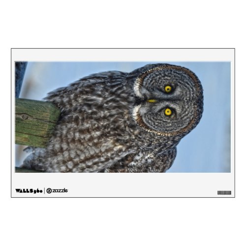 Great Gray Owl and Snow Wildlife Raptor Photo Wall Sticker
