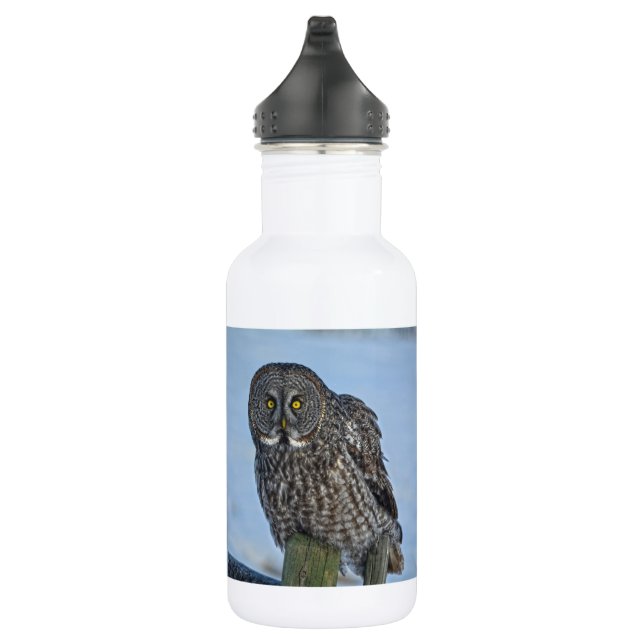 Great Gray Owl and Snow Wildlife Raptor Photo Water Bottle (Right)