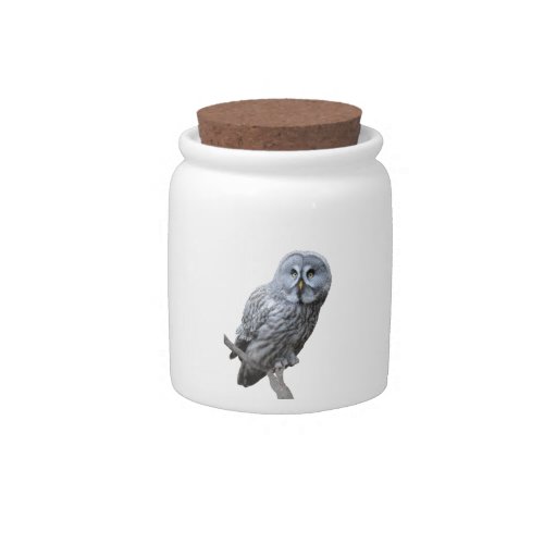 Great Gray Owl Candy Jar