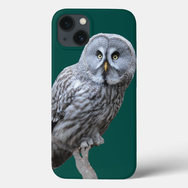 Great Gray Owl Case-Mate iPhone Case (Back)