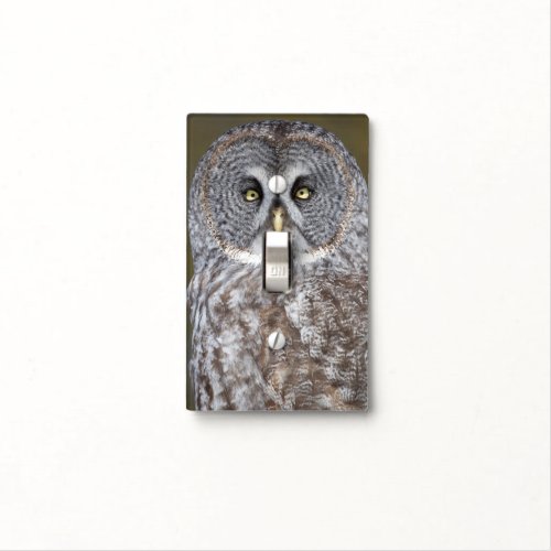 Great gray owl close_up Canada Light Switch Cover