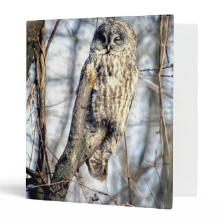 Great Gray Owl - Creamy Brown Watcher Binders