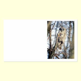 Great Gray Owl - Creamy Brown Watcher Double-Sided Standard Business Cards (Pack Of 100)