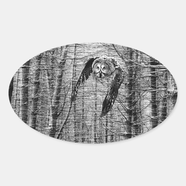 Great Gray Owl in black and white stickers (Front)