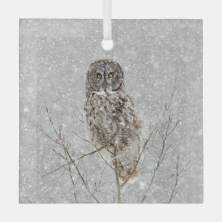 Great Gray Owl in Winter Glass Ornament