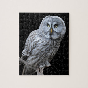 Great Gray Owl Jigsaw Puzzle