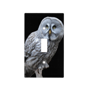 Great Gray Owl Light Switch Cover