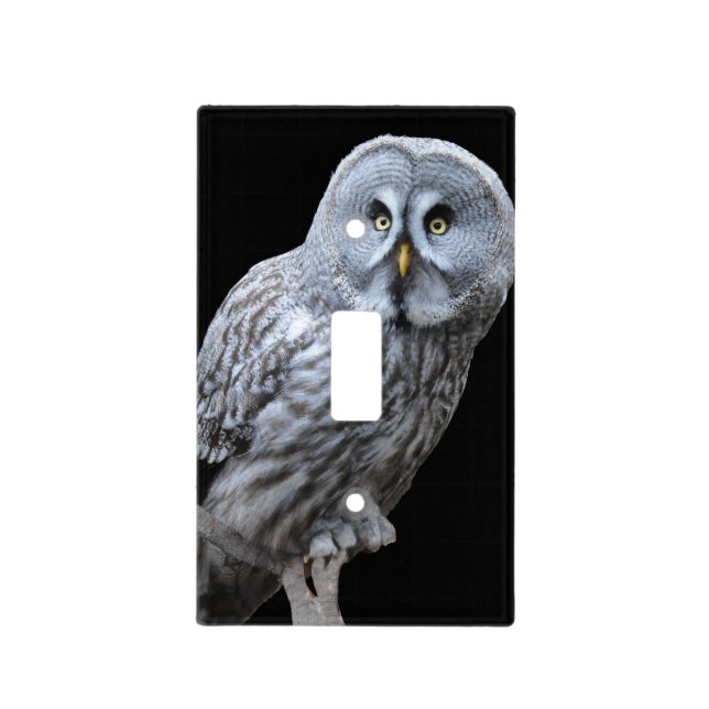 Great Gray Owl Light Switch Cover (Front)