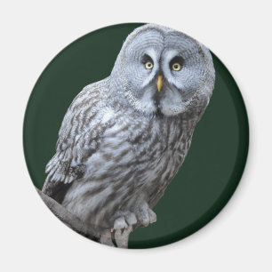 Great Gray Owl Magnet
