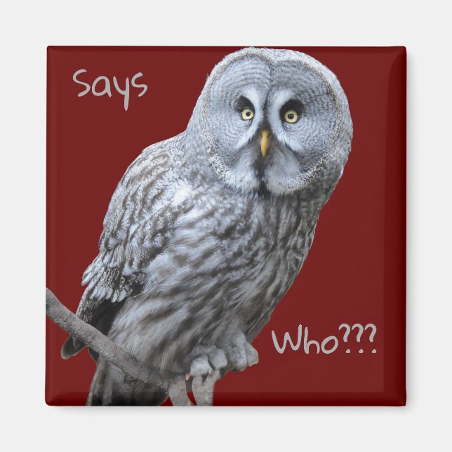 Great Gray Owl Magnet (Front)