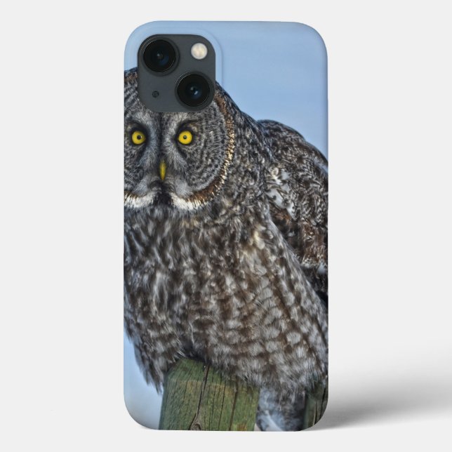 Great Gray Owl On a Fence Wildlife Photo Portrait Case-Mate iPhone Case (Back)