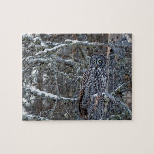 Great Gray Owl on a Snag Jigsaw Puzzle
