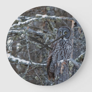 Great Gray Owl on a Snag Large Clock