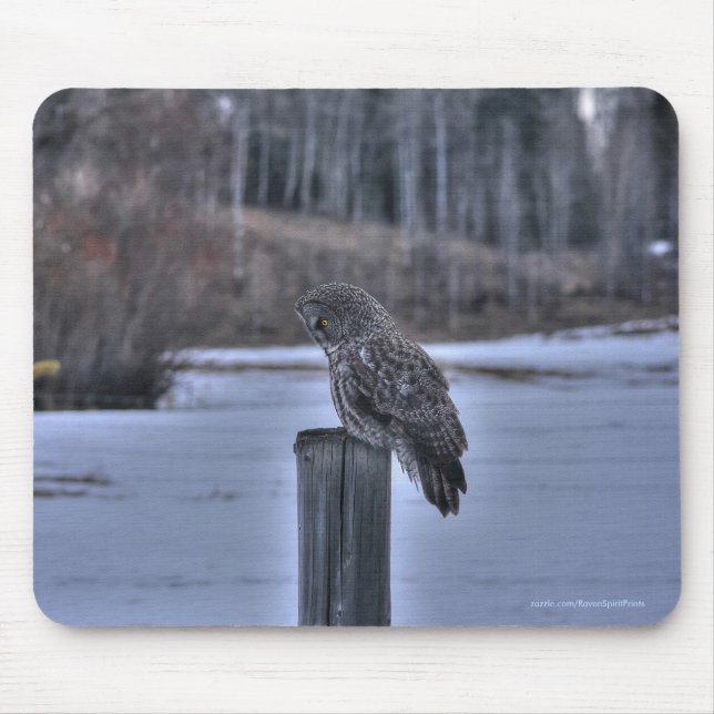 Great Gray Owl on Fence Post Winter Wildlife Photo Mouse Pad (Front)