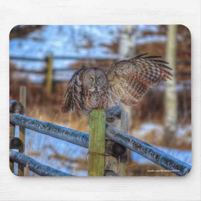 Great Gray Owl on Fence Wildlife Raptor Photo Mouse Pad (Front)