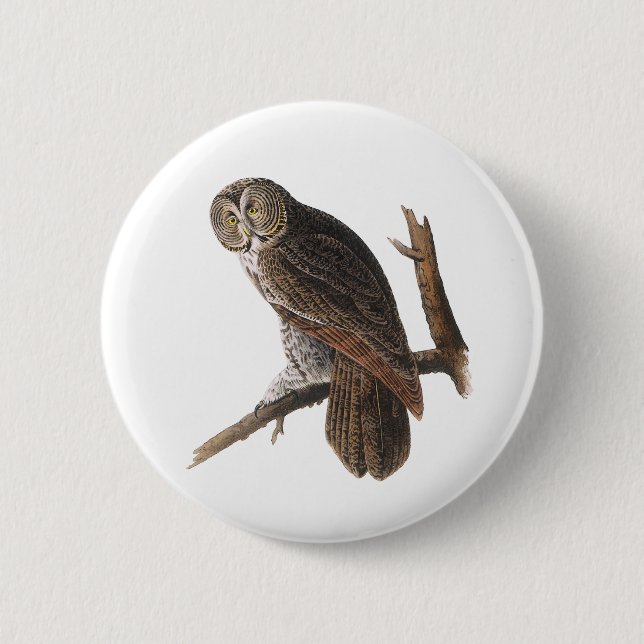 Great Gray Owl Pinback Button (Front)