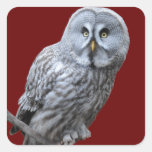 Great Gray Owl Square Sticker