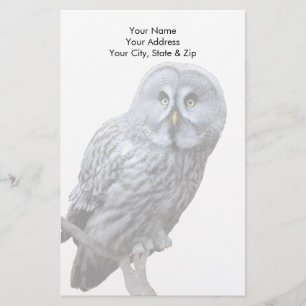 Great Gray Owl Stationery