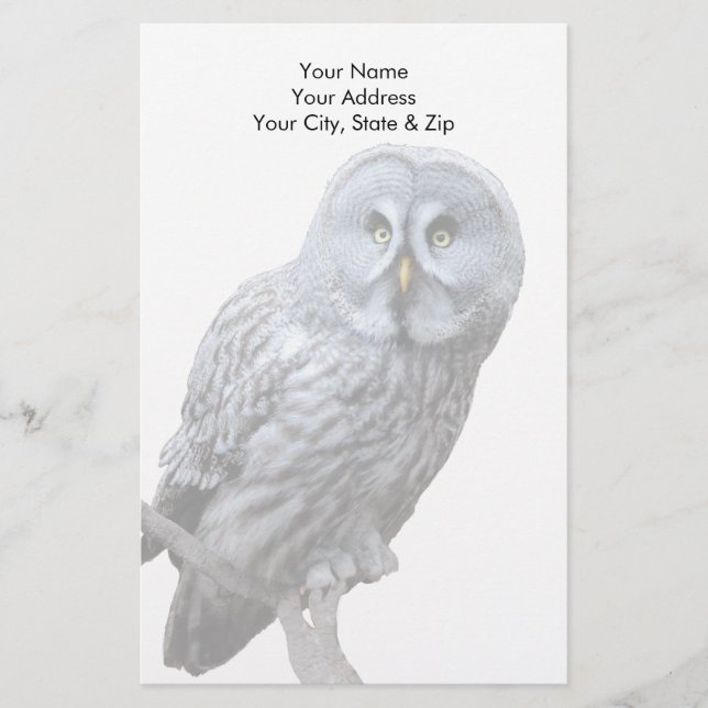 Great Gray Owl Stationery (Front)