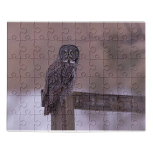 Great Gray Owl Wildlife Jigsaw Puzzle