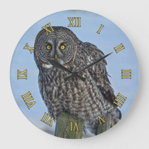 Great Grey Owl and Fence Post Wildlife Photo Large Clock