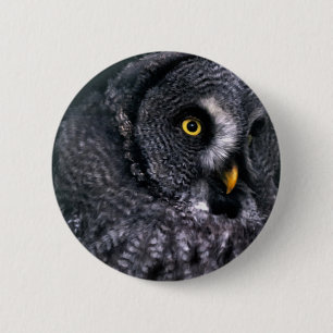 Great Grey Owl Button