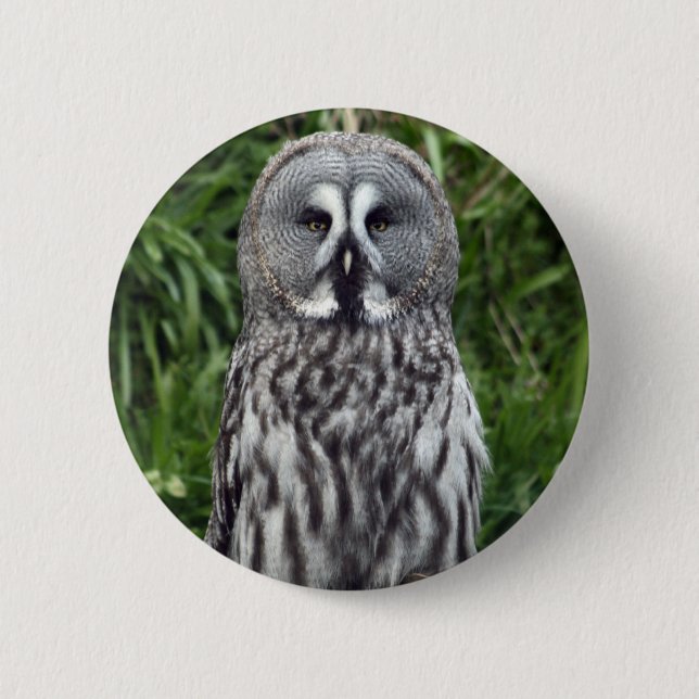 Great Grey Owl Button (Front)