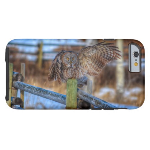 Great Grey Owl  Fence Wildlife Photo Portrait Tough iPhone 6 Case