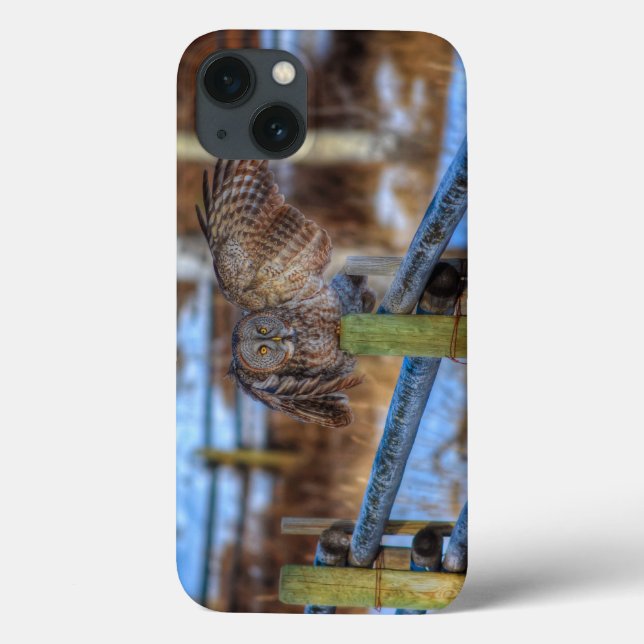 Great Grey Owl & Fence Wildlife Photo Portrait Case-Mate iPhone Case (Back)