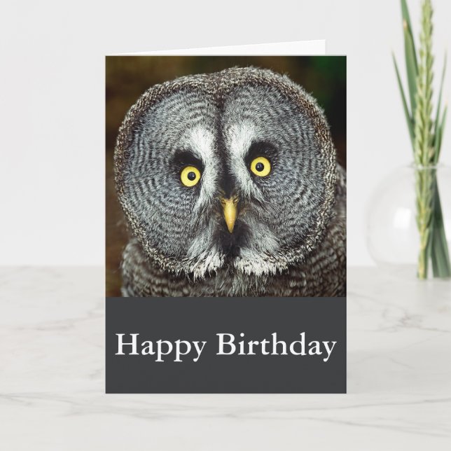 Great Grey Owl - Happy Birthday Card (Front)