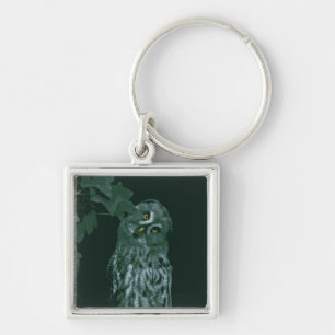 Great Grey Owl Keychain