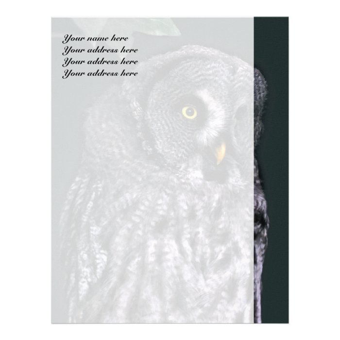 Great Grey Owl Letterhead Template