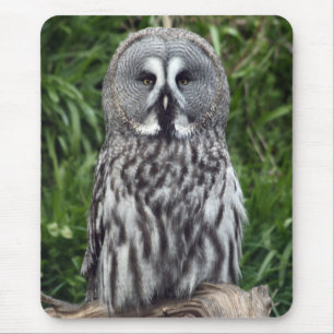 Great Grey Owl Mouse Pad