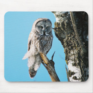 Great Grey Owl Mousepad