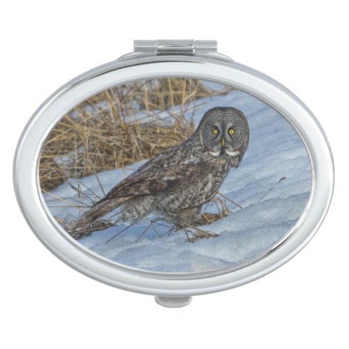 Great Grey Owl on Snow Wildlife Photo Portrait Mirror For Makeup
