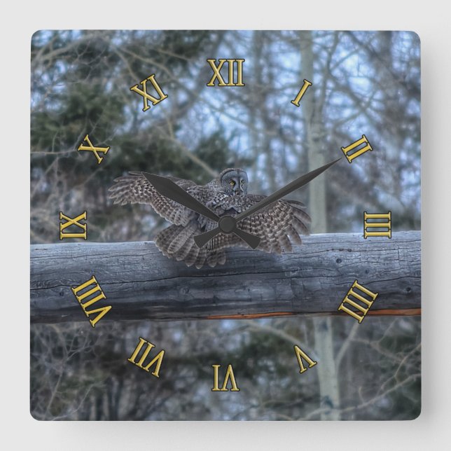 Great Grey Owl Ranch Mascot Wildlife Photo Square Wall Clock (Front)