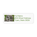 Great Grey Owl Return Address Mailing Label