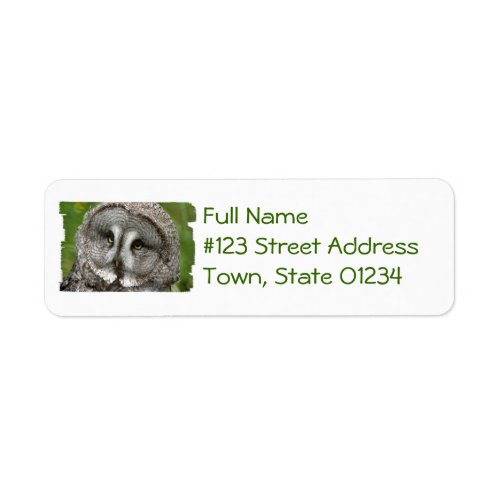 Great Grey Owl Return Address Mailing Label